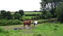 Ireland_Farm_2012-08-04_08-10-15_s.jpg